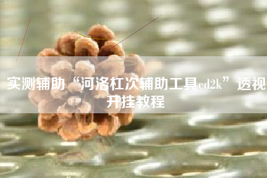 实测辅助“河洛杠次辅助工具ed2k	”透视开挂教程