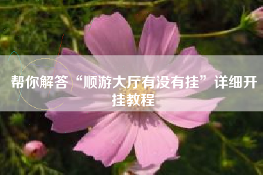 帮你解答“顺游大厅有没有挂”详细开挂教程