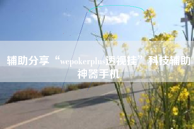 辅助分享“wepokerplus透视挂”科技辅助神器手机