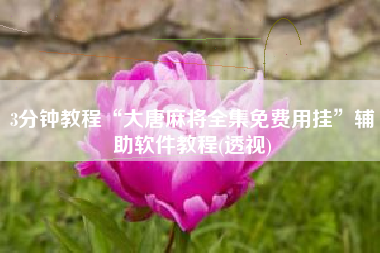 3分钟教程“大唐麻将全集免费用挂	”辅助软件教程(透视)