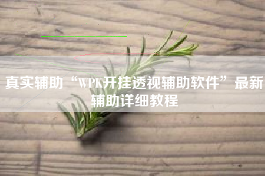 真实辅助“WPK开挂透视辅助软件	”最新辅助详细教程