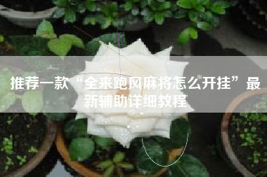 推荐一款“全来跑风麻将怎么开挂”最新辅助详细教程