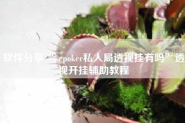 软件分享“wepoker私人局透视挂有吗”透视开挂辅助教程