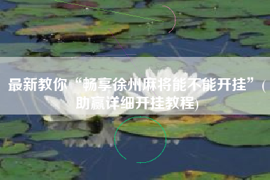 最新教你“畅享徐州麻将能不能开挂”(助赢详细开挂教程)