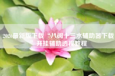 2026最新版下载“八闽十三水辅助器下载	”开挂辅助透视教程