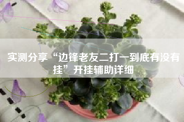 实测分享“边锋老友二打一到底有没有挂	”开挂辅助详细
