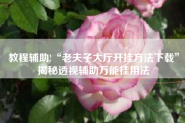 教程辅助!“老夫子大厅开挂方法下载”揭秘透视辅助万能挂用法