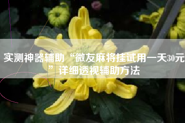 实测神器辅助“微友麻将挂试用一天30元”详细透视辅助方法