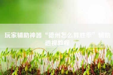 玩家辅助神器“德州怎么算胜率”辅助透视教程