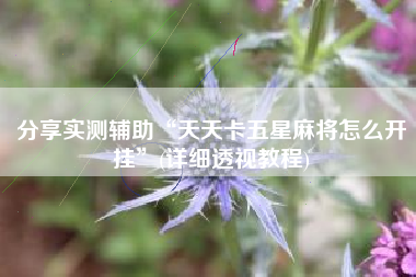 分享实测辅助“天天卡五星麻将怎么开挂”(详细透视教程)
