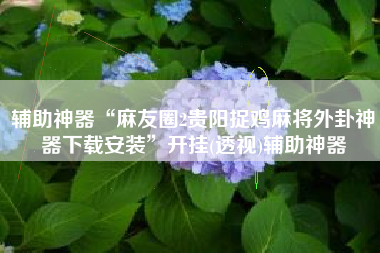 辅助神器“麻友圈2贵阳捉鸡麻将外卦神器下载安装”开挂(透视)辅助神器