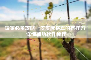 玩家必备攻略“皮皮麻将真的有挂吗”详细辅助软件教程