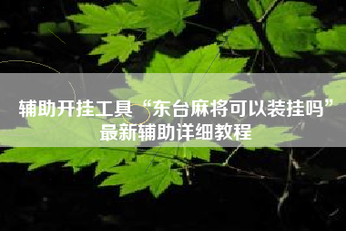 辅助开挂工具“东台麻将可以装挂吗”最新辅助详细教程