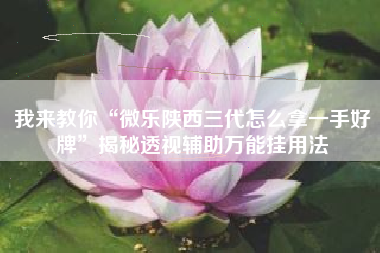 我来教你“微乐陕西三代怎么拿一手好牌”揭秘透视辅助万能挂用法