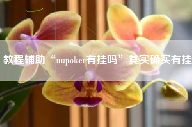 教程辅助“uupoker有挂吗	”其实确实有挂