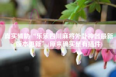 真实辅助“乐乐四川麻将外卦神器最新版本更新”(原来确实是有插件)