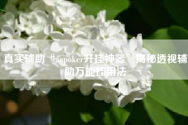 真实辅助“aapoker开挂神器”揭秘透视辅助万能挂用法
