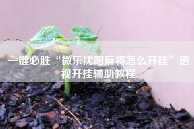 一键必胜“微乐沈阳麻将怎么开挂”透视开挂辅助教程