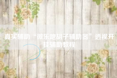 真实辅助“微乐跑胡子辅助器	”透视开挂辅助教程