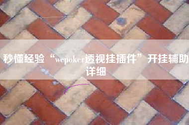 秒懂经验“wepoker透视挂插件”开挂辅助详细