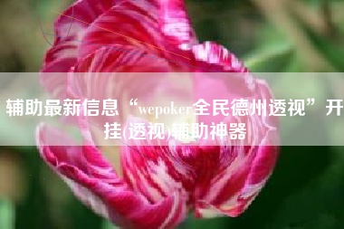 辅助最新信息“wepoker全民德州透视”开挂(透视)辅助神器