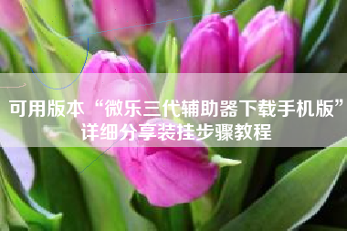 可用版本“微乐三代辅助器下载手机版”详细分享装挂步骤教程