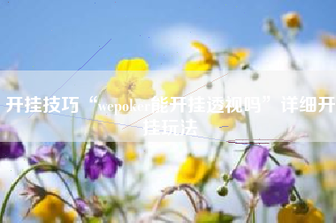 开挂技巧“wepoker能开挂透视吗”详细开挂玩法