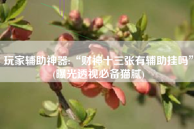 玩家辅助神器:“财神十三张有辅助挂吗	”(曝光透视必备猫腻)