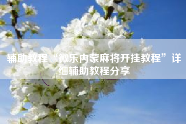 辅助教程“微乐内蒙麻将开挂教程”详细辅助教程分享