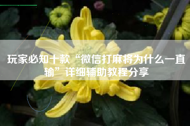 玩家必知十款“微信打麻将为什么一直输”详细辅助教程分享