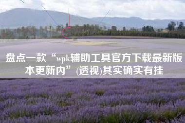 盘点一款“wpk辅助工具官方下载最新版本更新内	”(透视)其实确实有挂