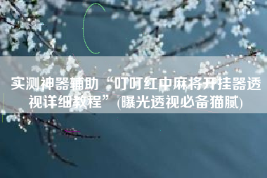 实测神器辅助“叮叮红中麻将开挂器透视详细教程”(曝光透视必备猫腻)