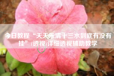 今日教程“天天乐清十三水到底有没有挂”(透视)详细透视辅助教学