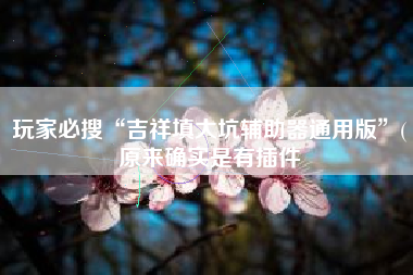 玩家必搜“吉祥填大坑辅助器通用版”(原来确实是有插件