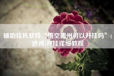 辅助挂机软件“悟空德州可以开挂吗”(透视)开挂详细教程