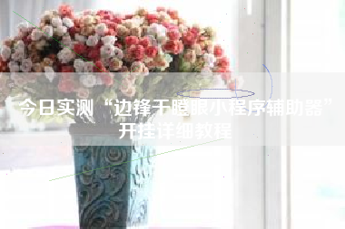 今日实测“边锋干瞪眼小程序辅助器	”开挂详细教程