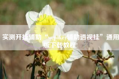实测开挂辅助“wepoker辅助透视挂”通用版下载教程!