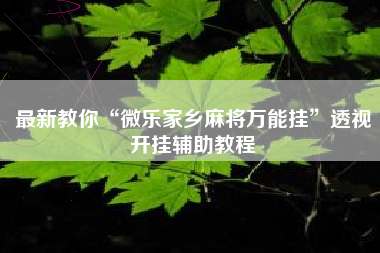 最新教你“微乐家乡麻将万能挂”透视开挂辅助教程 最新教你“微乐家乡麻将万能挂”透视开挂辅助教程