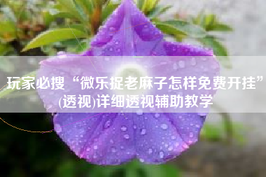 玩家必搜“微乐捉老麻子怎样免费开挂	”(透视)详细透视辅助教学