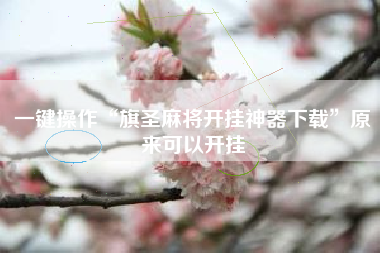 一键操作“旗圣麻将开挂神器下载”原来可以开挂