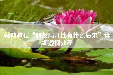 辅助教程“朋友局开挂有什么后果”详细透视教程