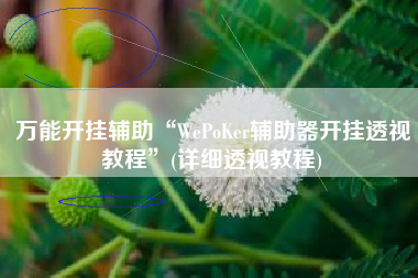 万能开挂辅助“WePoKer辅助器开挂透视教程”(详细透视教程)