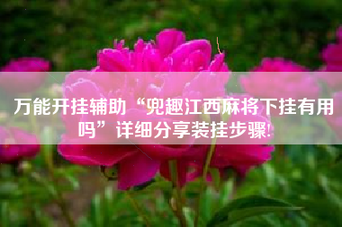 万能开挂辅助“兜趣江西麻将下挂有用吗	”详细分享装挂步骤!