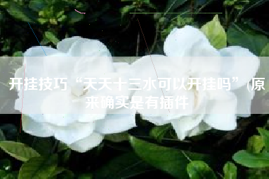 开挂技巧“天天十三水可以开挂吗	”(原来确实是有插件