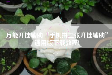 万能开挂辅助“手机拼三张开挂辅助”通用版下载教程!