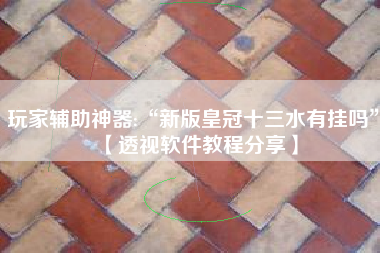 玩家辅助神器:“新版皇冠十三水有挂吗”【透视软件教程分享】