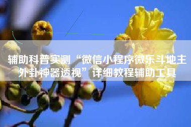 辅助科普实测“微信小程序微乐斗地主外卦神器透视	”详细教程辅助工具