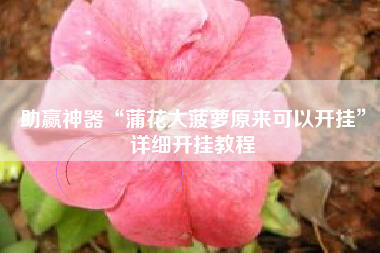 助赢神器“蒲花大菠萝原来可以开挂	”详细开挂教程