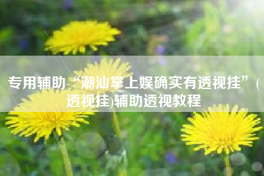 专用辅助“潮汕掌上娱确实有透视挂”(透视挂)辅助透视教程