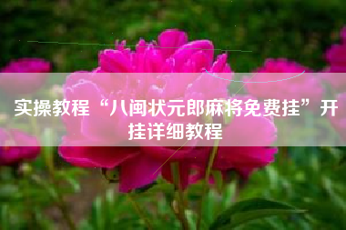 实操教程“八闽状元郎麻将免费挂	”开挂详细教程